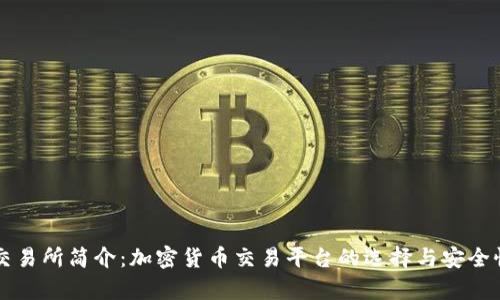 比特交易所简介：加密货币交易平台的选择与安全性分析