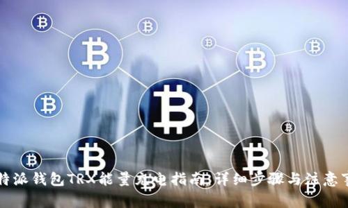 比特派钱包TRX能量充电指南：详细步骤与注意事项