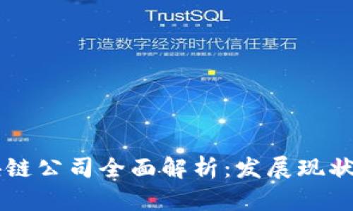 兰州新区块链公司全面解析：发展现状与前景展望