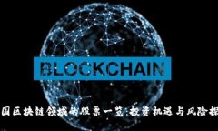 美国区块链领域的股票一览：投资机遇与风险探
