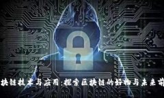 区块链技术与应用：探索区块链的好物与未来前