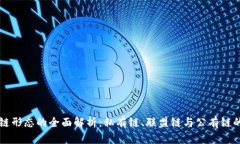 区块链形态的全面解析：私有链、联盟链与公有