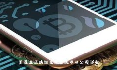美盈森区块链生态系统中的公司详解
