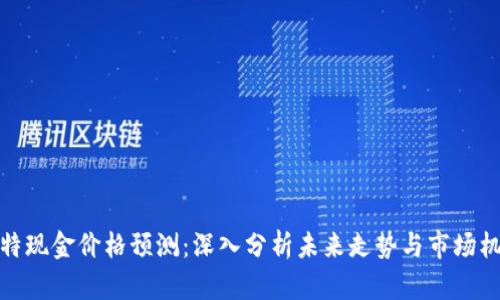 比特现金价格预测：深入分析未来走势与市场机会