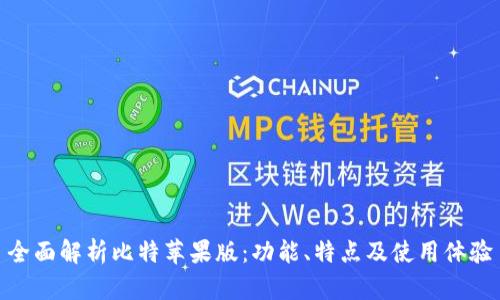 全面解析比特苹果版：功能、特点及使用体验