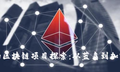 推特的区块链项目探索：从蓝鸟到加密世界