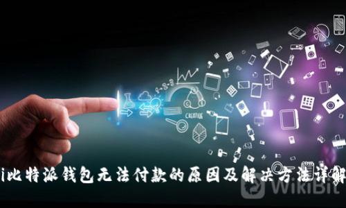 i比特派钱包无法付款的原因及解决方法详解