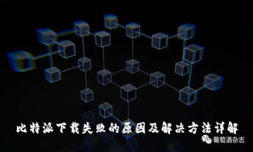 比特派下载失败的原因及解决方法详解