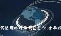 如何使用比特派钱包支付：全面指南