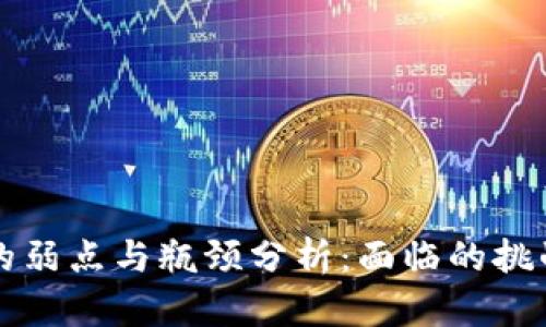 区块链技术的弱点与瓶颈分析：面临的挑战与解决方案