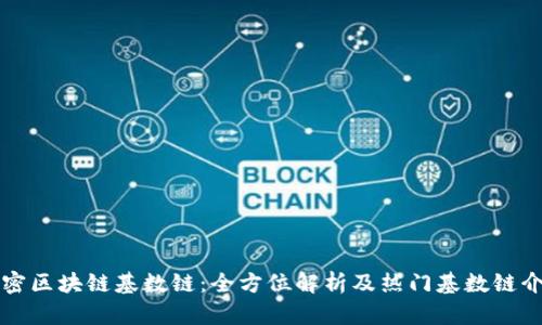 解密区块链基数链：全方位解析及热门基数链介绍