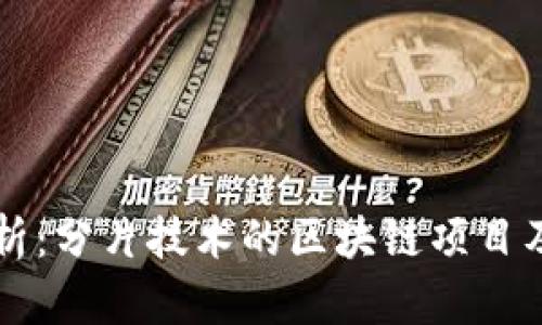 全面解析：分片技术的区块链项目及其潜力