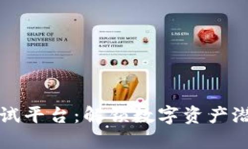区块链价值测试平台：解锁数字资产潜力的最佳选择