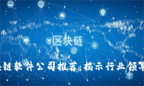 2023年优质区块链软件公司推荐：揭示行业领军者的创新与案例