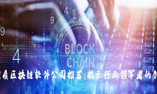 2023年优质区块链软件公司推荐：揭示行业领军者的创新与案例