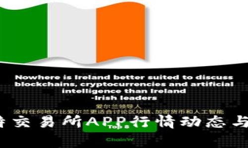 实时观察：比特交易所APP行情动态与投资策略分析