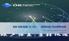 全面解析区块链账户体系：多样化选择与安全性