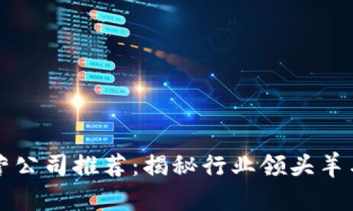 区块链运营公司推荐：揭秘行业领头羊与创新企业
