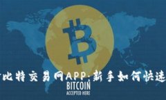 深入解析深圳金比特交易网APP：新手如何快速上