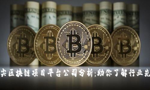 顶尖区块链项目平台公司分析：助你了解行业先锋