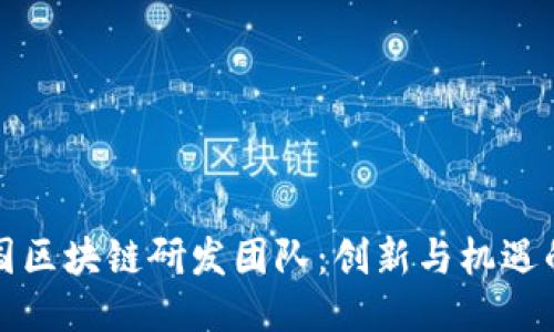 探索韩国区块链研发团队：创新与机遇的交汇点