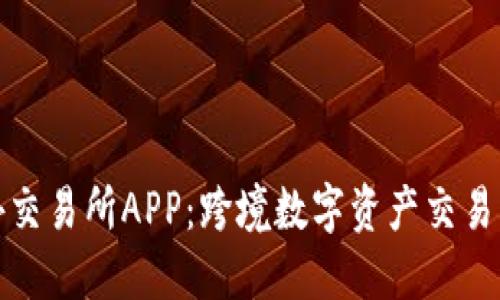 比特海外交易所APP：跨境数字资产交易的新选择