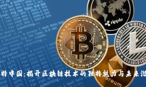 比特中国：揭开区块链技术的独特魅力与未来潜力