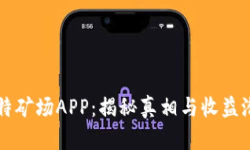 比特矿场APP：揭秘真相与收益潜力