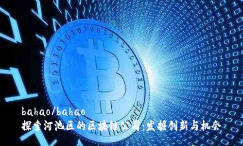 bahao/bahao
探索河池区的区块链公司：发掘创新与机会