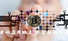 探索区块链技术的应用地点：从金融到供应链的