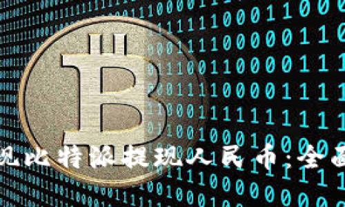 轻松一步实现比特派提现人民币：全面指南与技巧