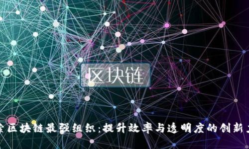 探索区块链最强组织：提升效率与透明度的创新力量