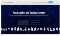 比特派官网app下载苹果版：全面解读比特币钱包