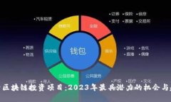 探索区块链投资项目：2023年最具潜力的机会与趋
