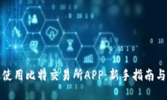 如何高效使用比特交易所APP：新手指南与实战技