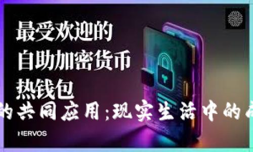 区块链技术的共同应用：现实生活中的成功案例分析