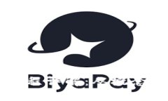 区块链系统建立过程详解：从概念到实现的全面