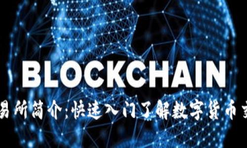 比特交易所简介：快速入门了解数字货币交易平台