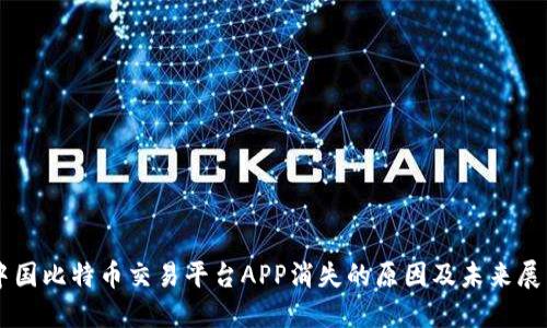 中国比特币交易平台APP消失的原因及未来展望