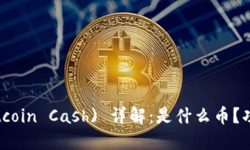 比特现金 (Bitcoin Cash) 详解：是什么币？功能与未来展望