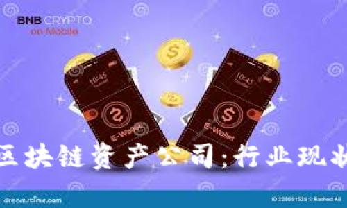 全方位解析区块链资产公司：行业现状与未来前景