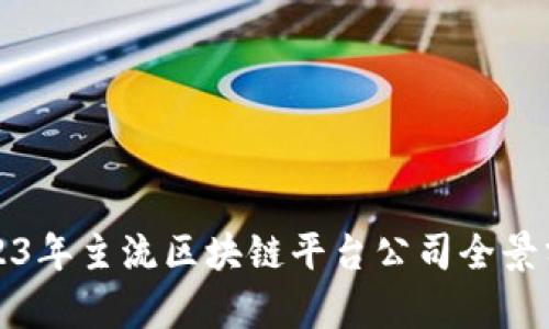 2023年主流区块链平台公司全景分析