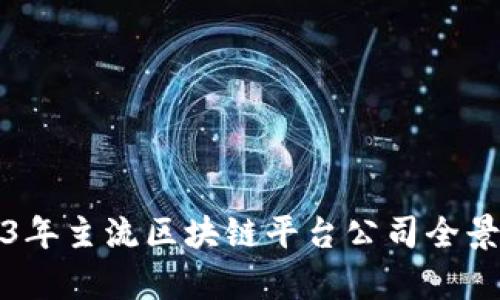 2023年主流区块链平台公司全景分析