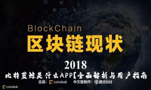 比特蓝鲸是什么APP？全面解析与用户指南