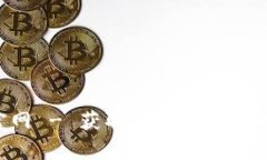 比特大享app下载官网 - 获取最新比特币理财工具