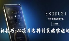 区块链选标技巧：从项目选择到策略实施的全面